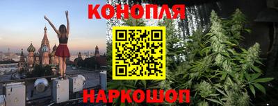 шишки Заводоуковск