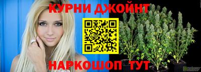 шишки Заводоуковск